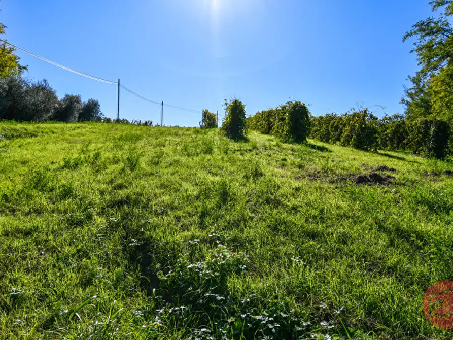 Immagine 24 di Terreno in vendita  a Cesena