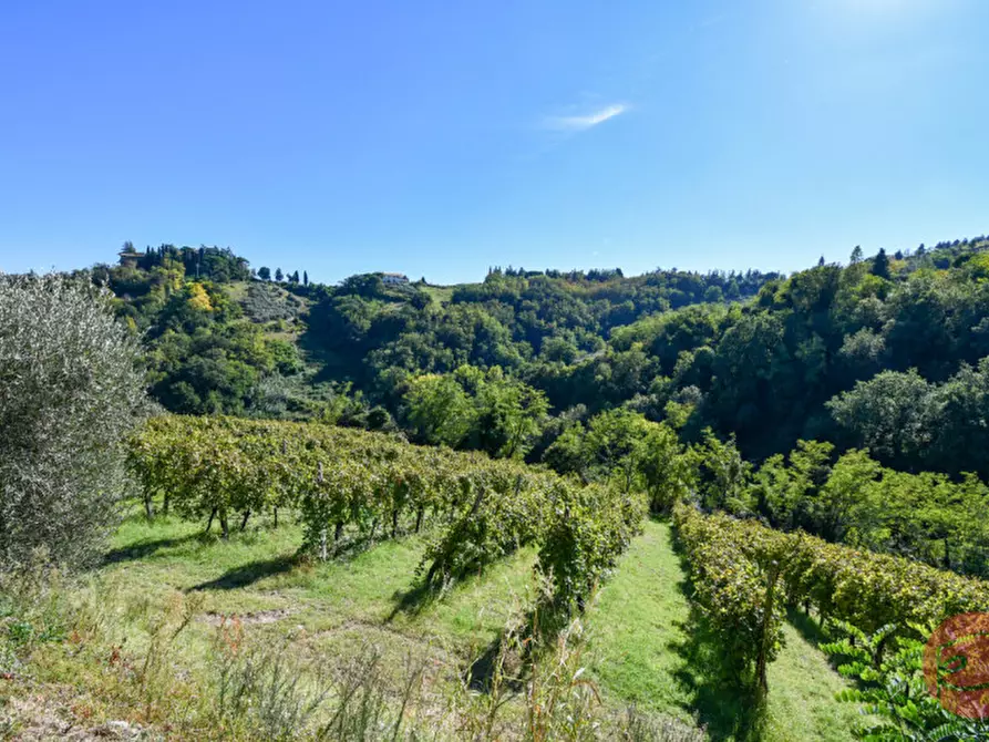 Immagine 30 di Terreno in vendita  a Cesena