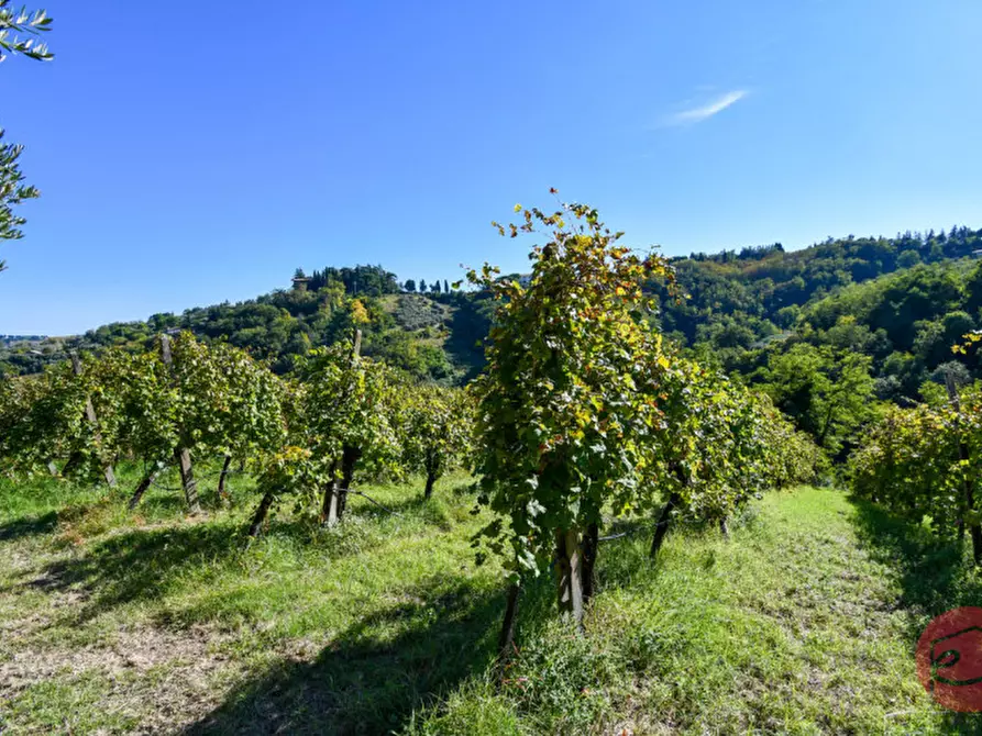 Immagine 33 di Terreno in vendita  a Cesena