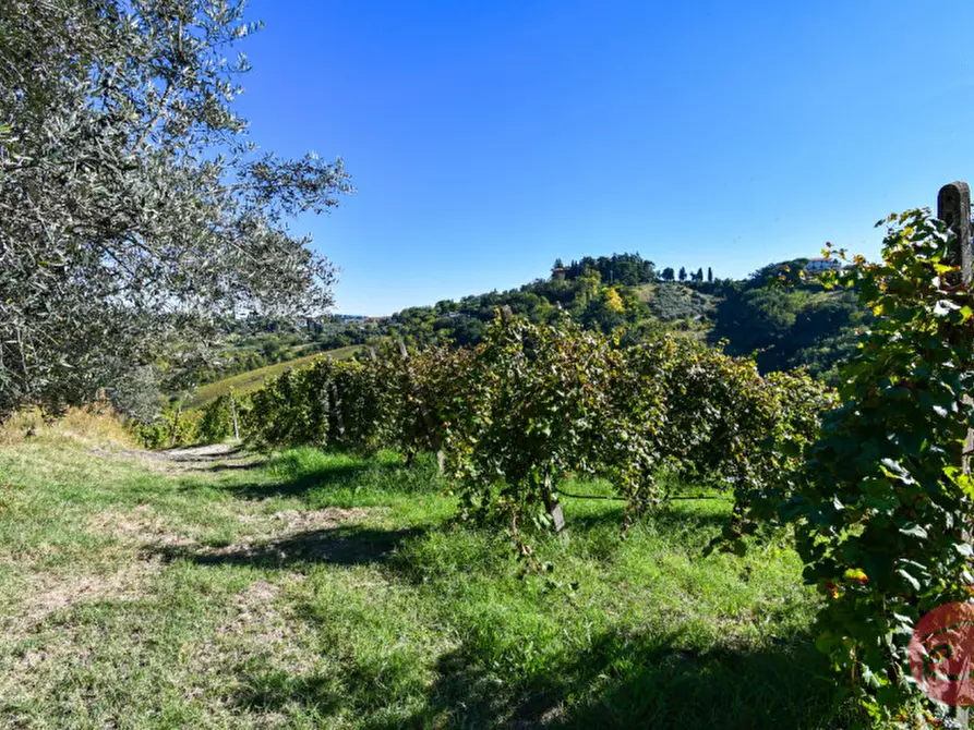Immagine 38 di Terreno in vendita  a Cesena