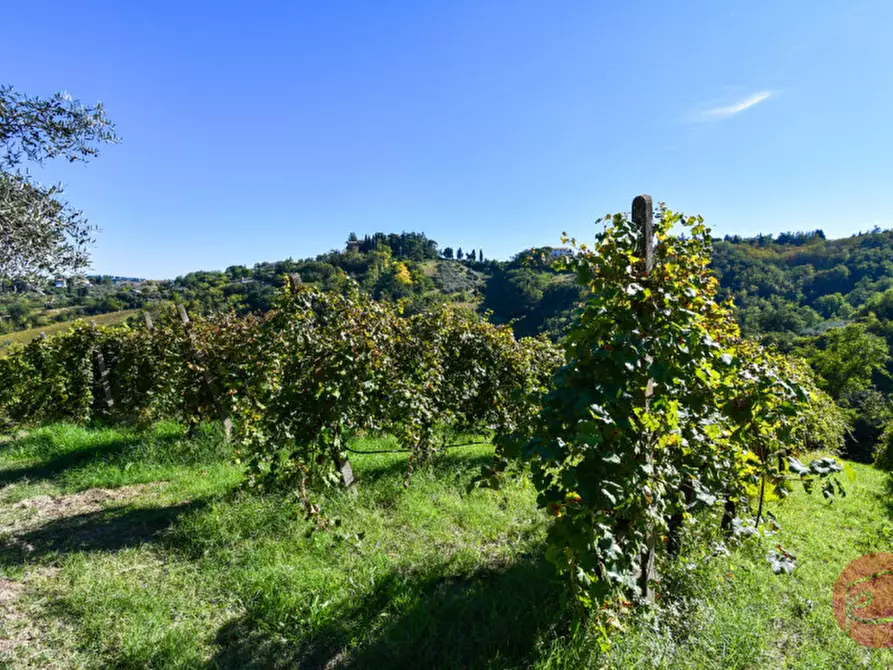 Immagine 39 di Terreno in vendita  a Cesena