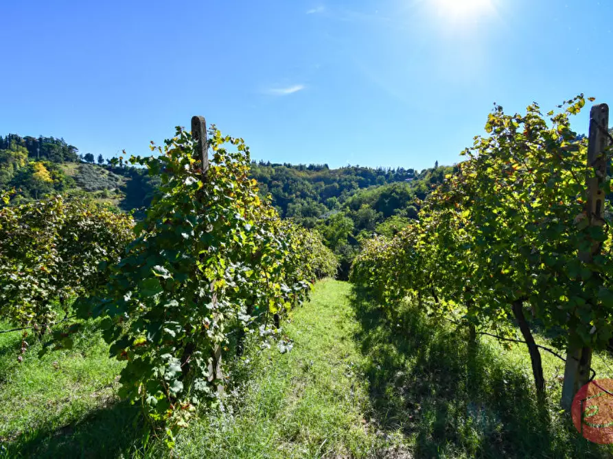 Immagine 40 di Terreno in vendita  a Cesena