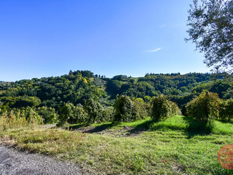 Immagine 45 di Terreno in vendita  a Cesena