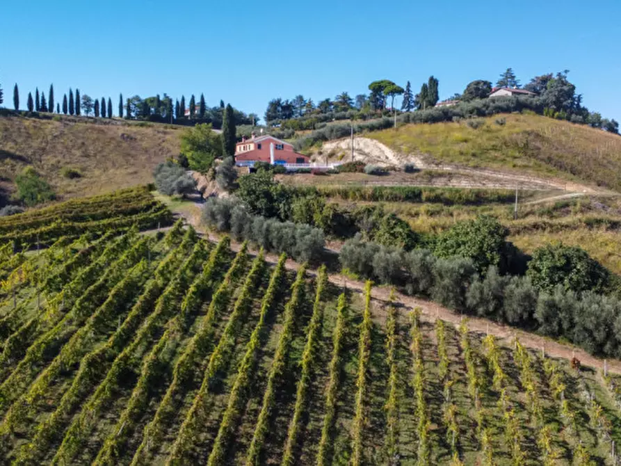 Immagine 1 di Terreno in vendita  a Cesena