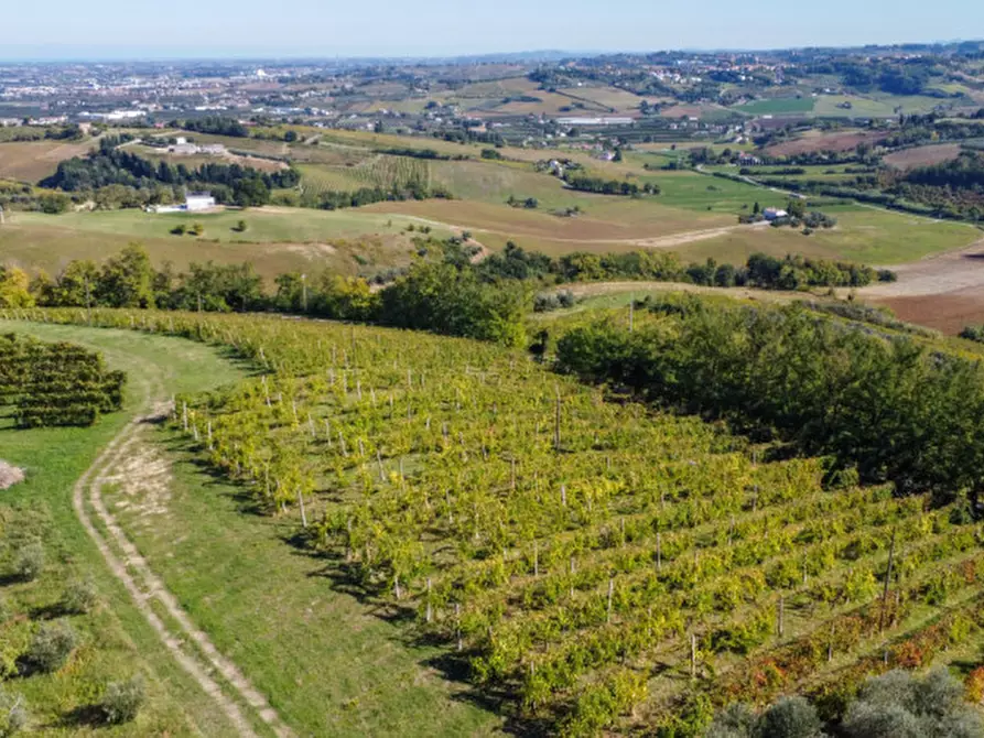 Immagine 2 di Terreno in vendita  a Cesena
