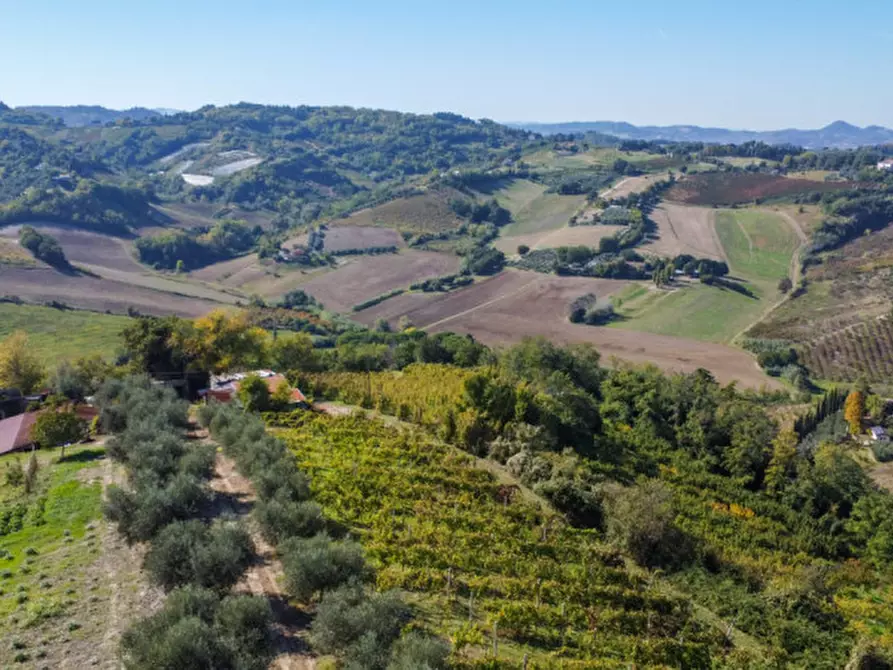Immagine 3 di Terreno in vendita  a Cesena