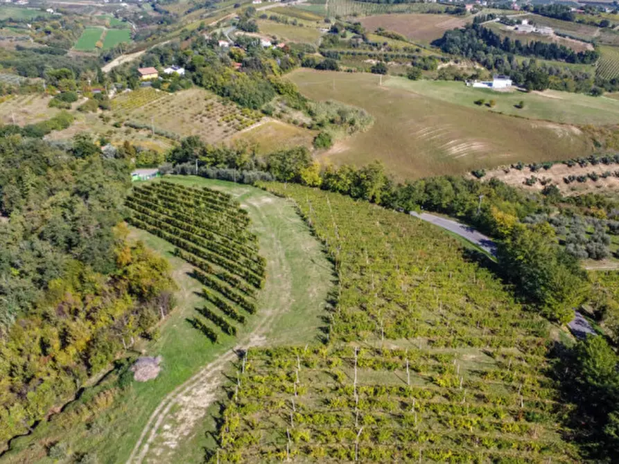 Immagine 5 di Terreno in vendita  a Cesena