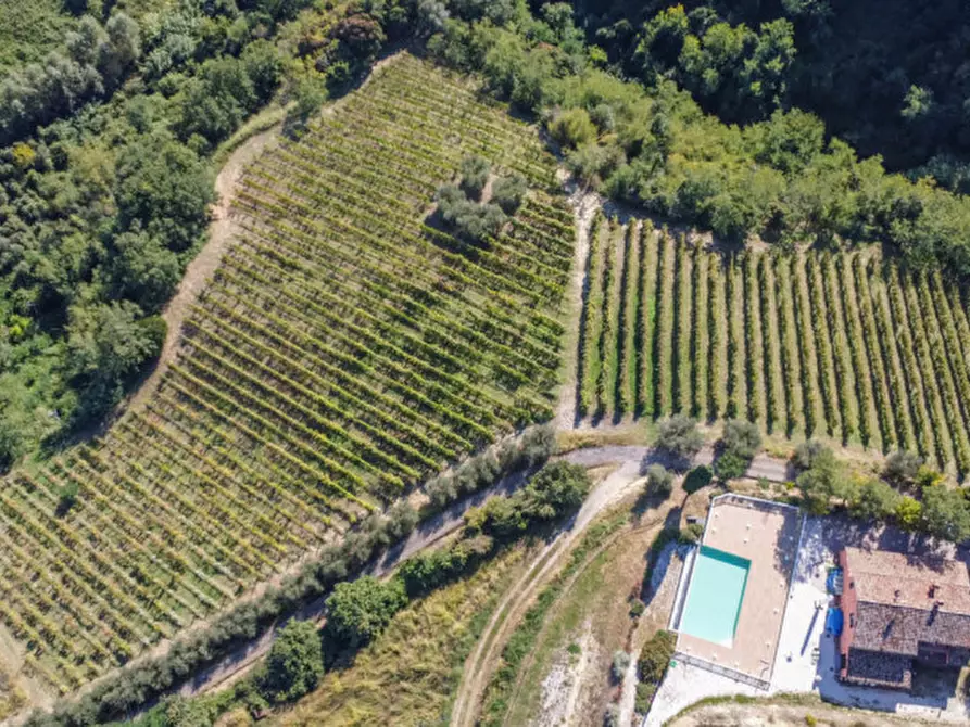 Immagine 9 di Terreno in vendita  a Cesena