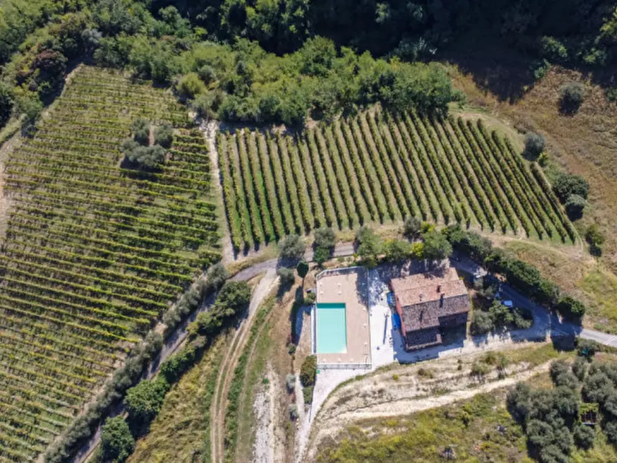 Immagine 11 di Terreno in vendita  a Cesena