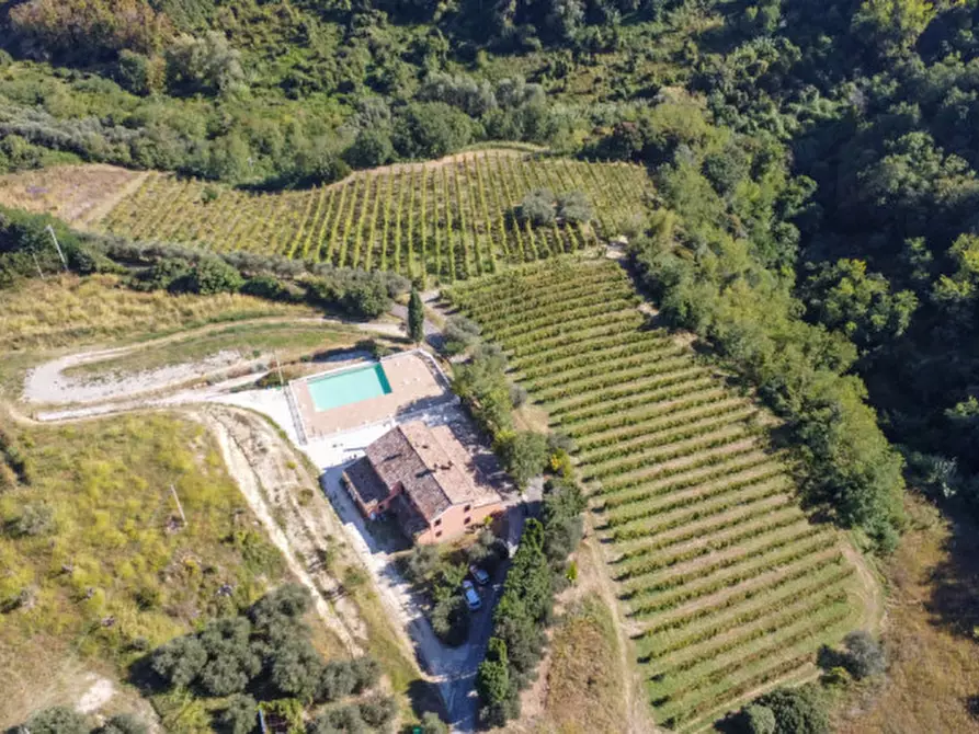 Immagine 12 di Terreno in vendita  a Cesena
