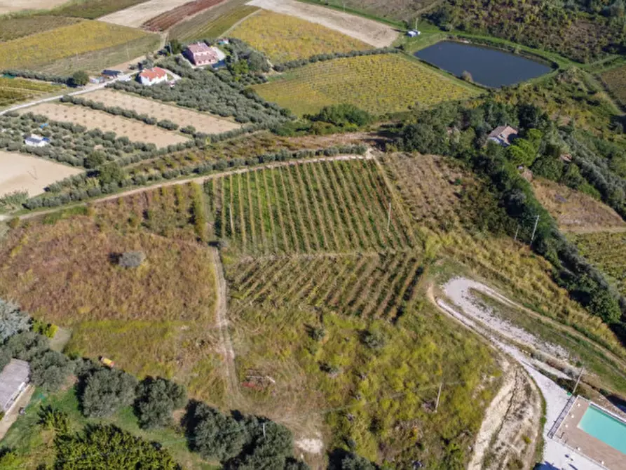 Immagine 13 di Terreno in vendita  a Cesena