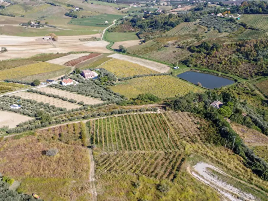 Immagine 14 di Terreno in vendita  a Cesena