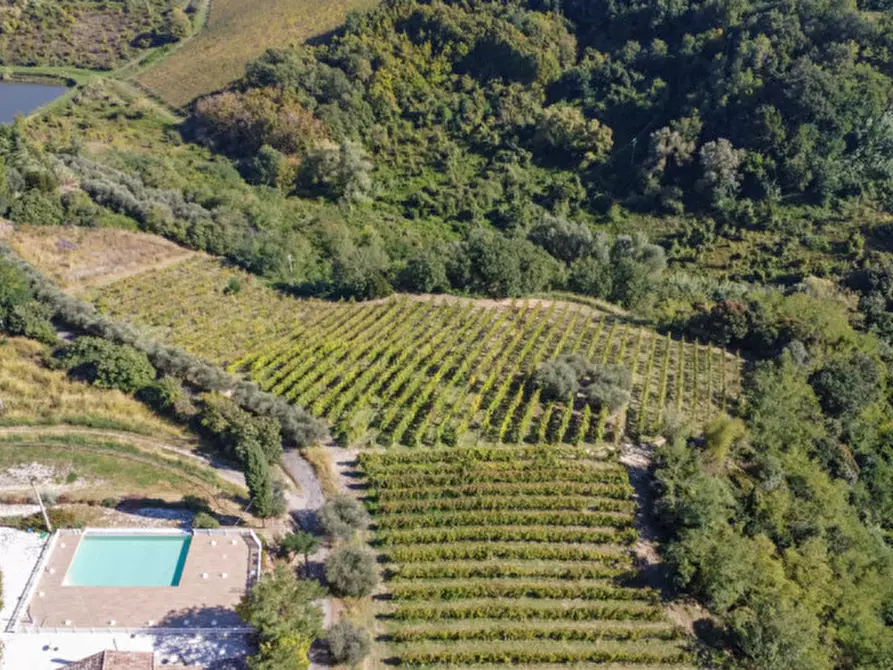 Immagine 15 di Terreno in vendita  a Cesena