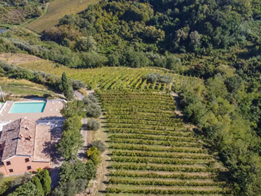 Immagine 16 di Terreno in vendita  a Cesena
