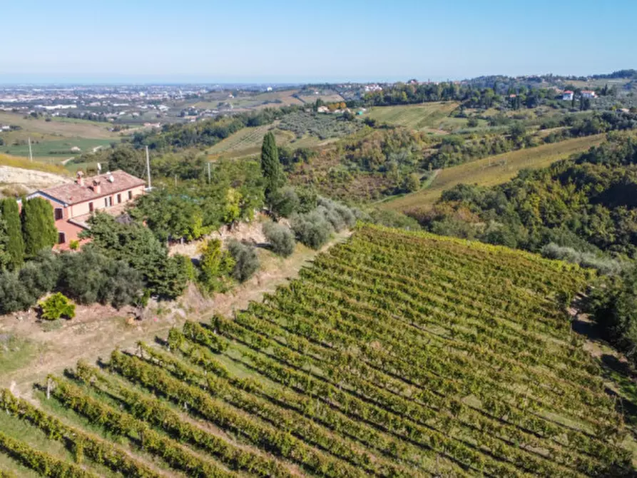 Immagine 19 di Terreno in vendita  a Cesena