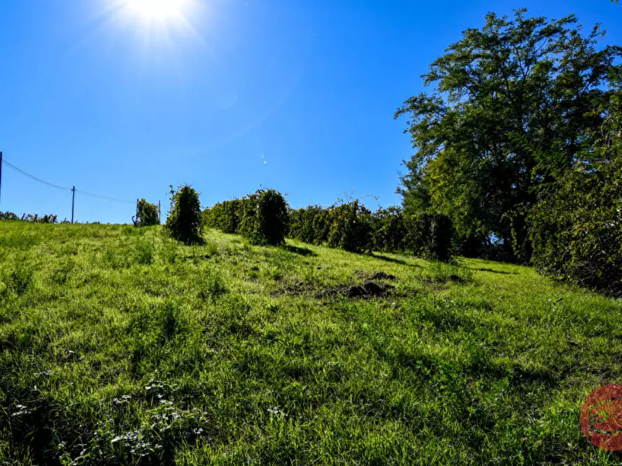 Immagine 22 di Terreno in vendita  a Cesena