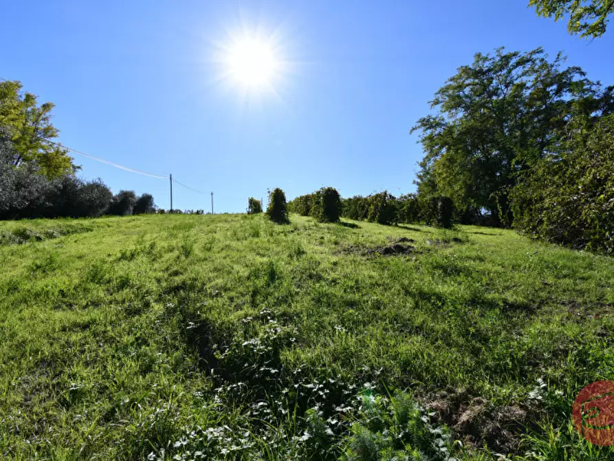 Immagine 23 di Terreno in vendita  a Cesena