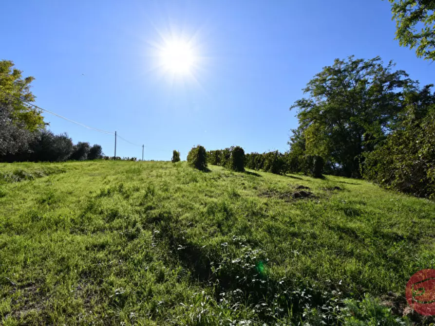 Immagine 24 di Terreno in vendita  a Cesena
