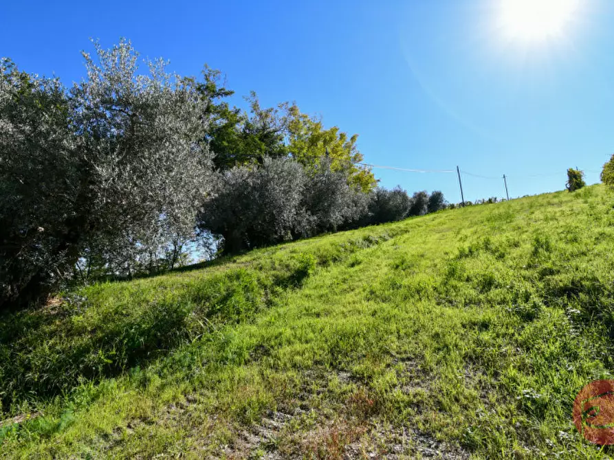 Immagine 25 di Terreno in vendita  a Cesena