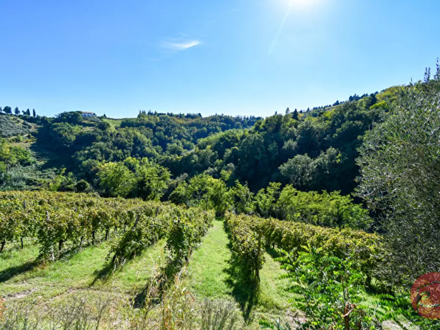 Immagine 27 di Terreno in vendita  a Cesena