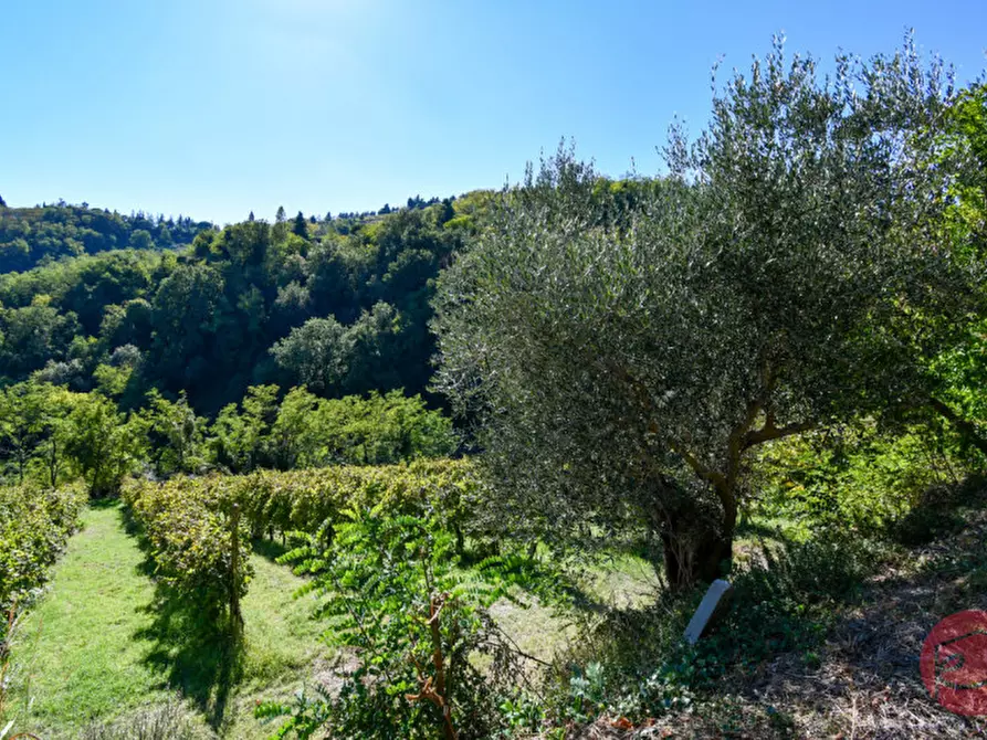 Immagine 28 di Terreno in vendita  a Cesena