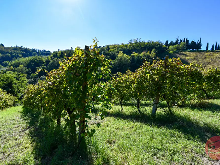 Immagine 30 di Terreno in vendita  a Cesena
