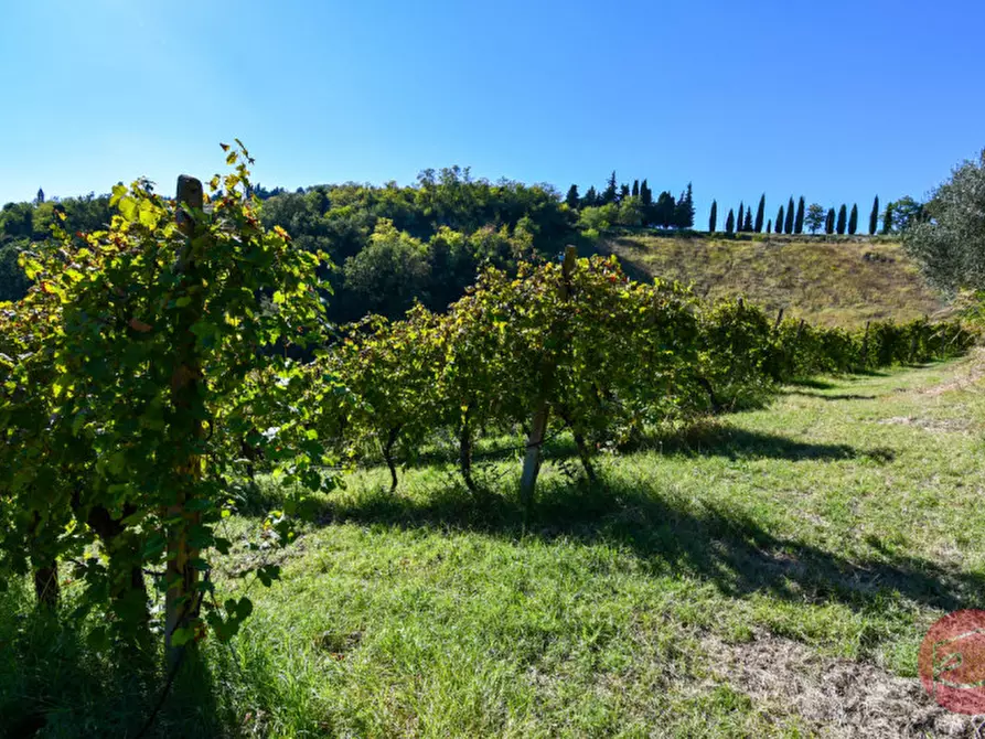 Immagine 31 di Terreno in vendita  a Cesena