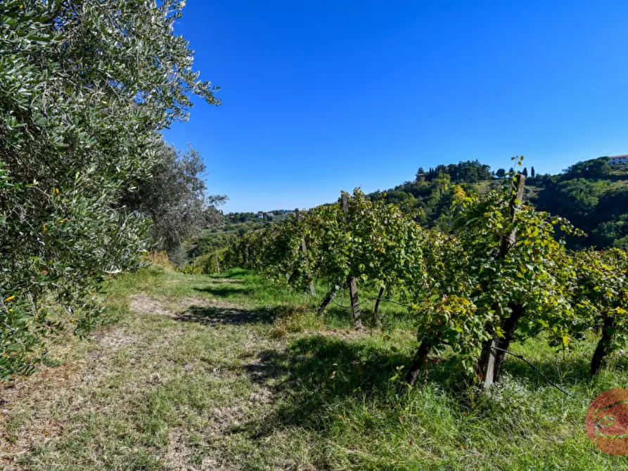 Immagine 32 di Terreno in vendita  a Cesena