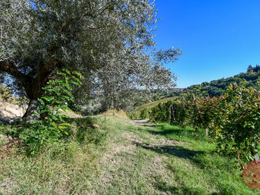 Immagine 33 di Terreno in vendita  a Cesena