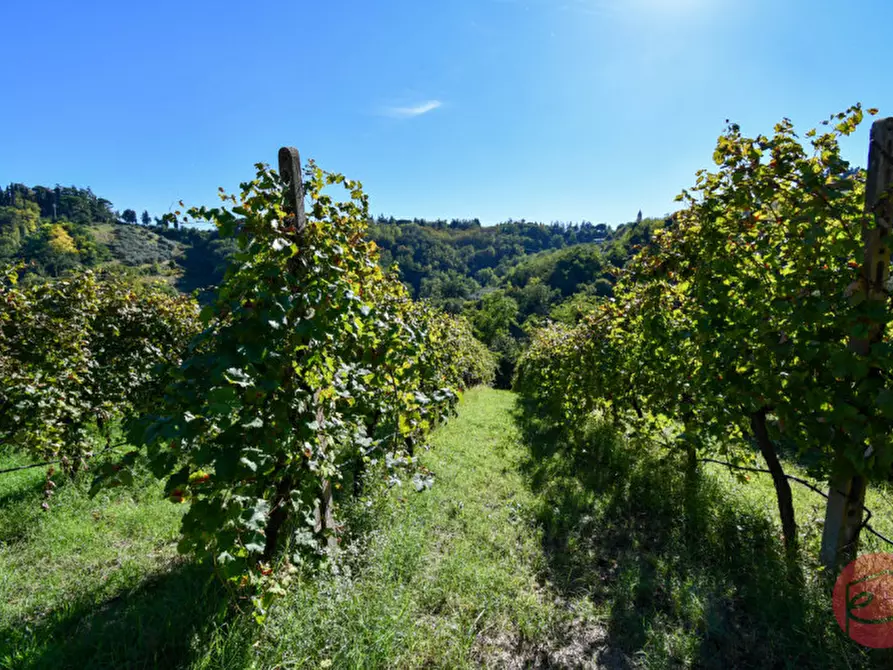 Immagine 37 di Terreno in vendita  a Cesena
