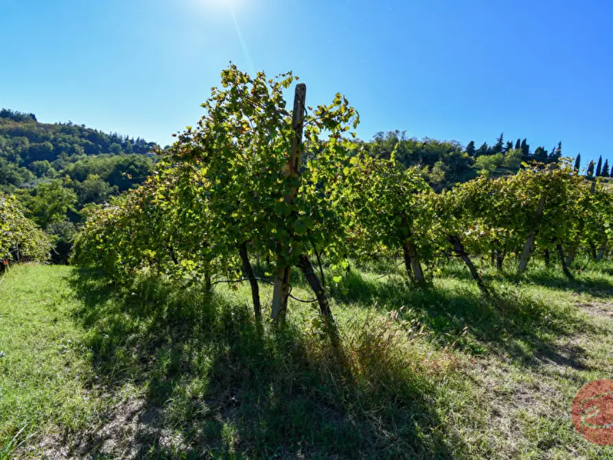 Immagine 38 di Terreno in vendita  a Cesena