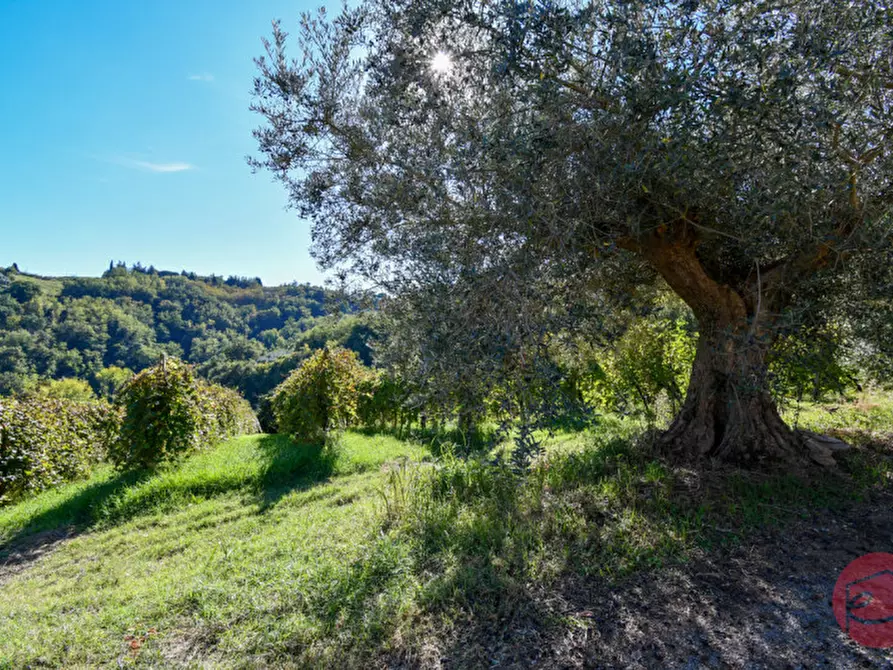 Immagine 39 di Terreno in vendita  a Cesena