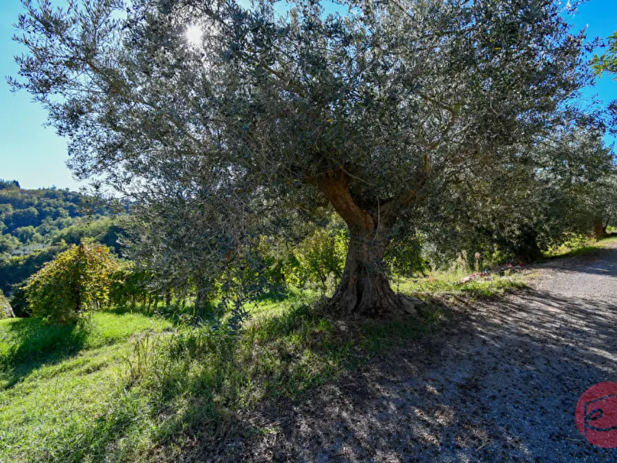 Immagine 40 di Terreno in vendita  a Cesena