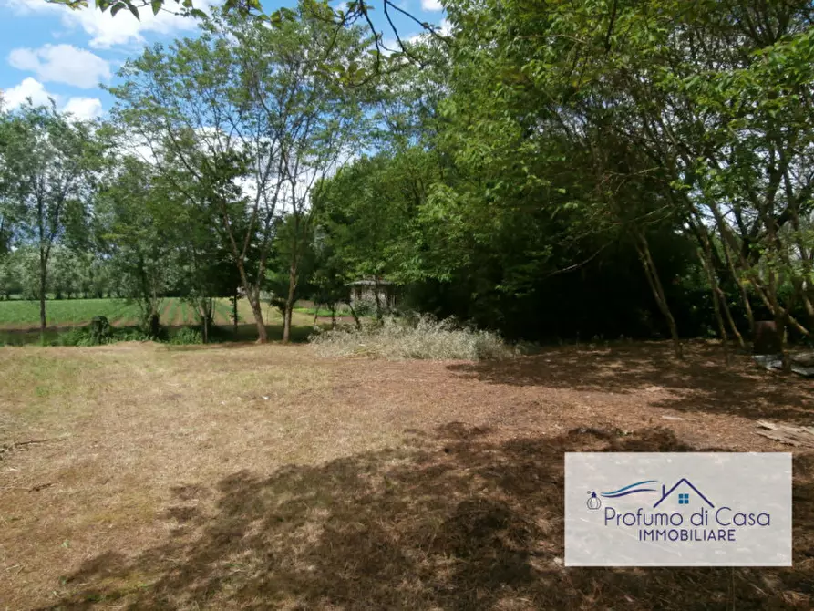 Immagine 10 di Villa in vendita  in Via San Martino a Morgano