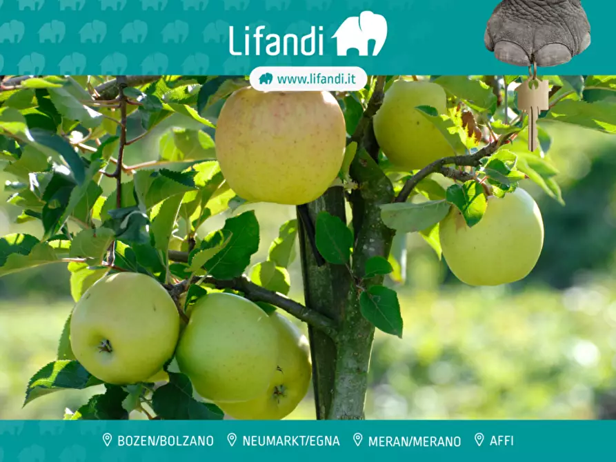 Immagine 1 di Terreno in vendita  a Terlano .Terlan.