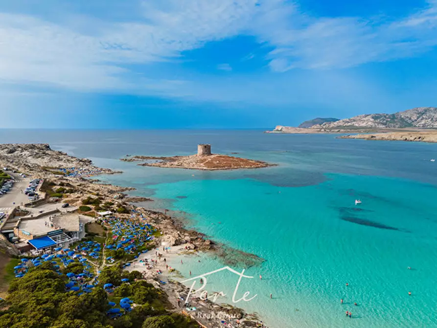 Immagine 2 di Casa bifamiliare in vendita  in Via Monte Arcosu 18 a Stintino