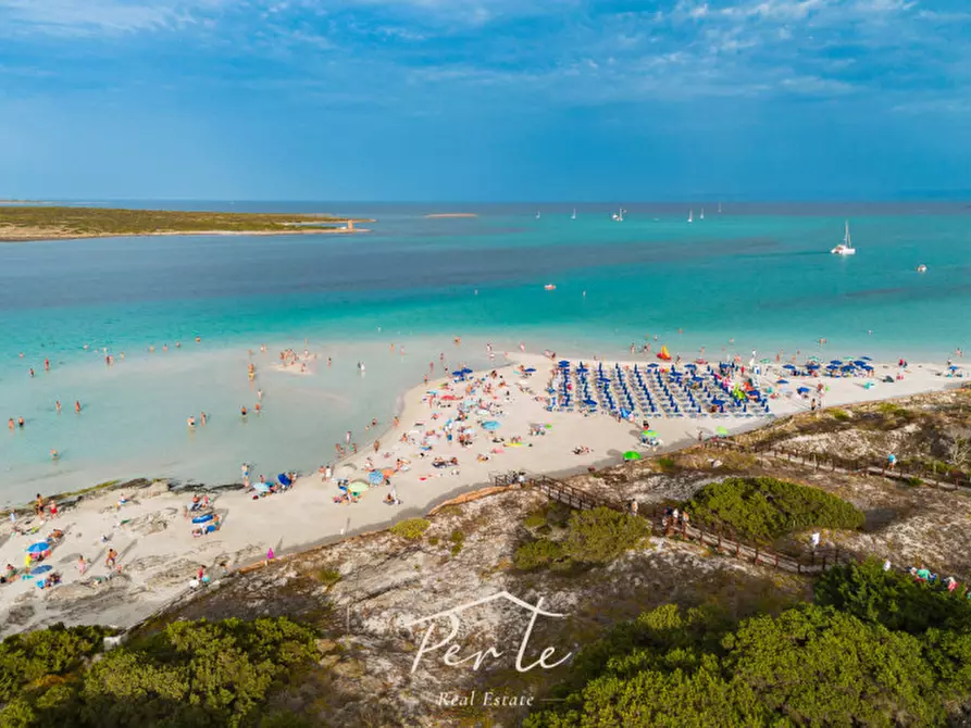 Immagine 6 di Casa bifamiliare in vendita  in Via Monte Arcosu 18 a Stintino