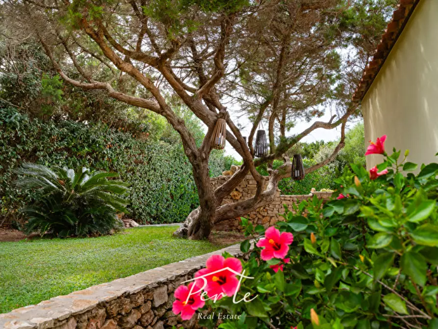 Immagine 19 di Casa bifamiliare in vendita  in Via Monte Arcosu 18 a Stintino
