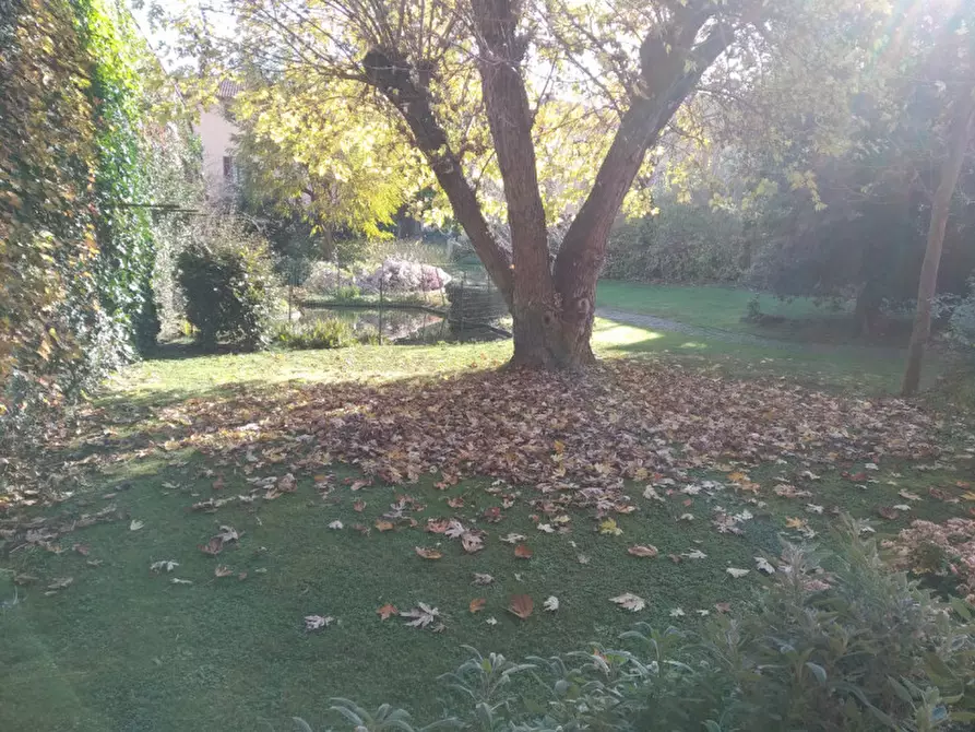 Immagine 11 di Villa in vendita  in Via Vittorio Emanuele II    2 a Occimiano