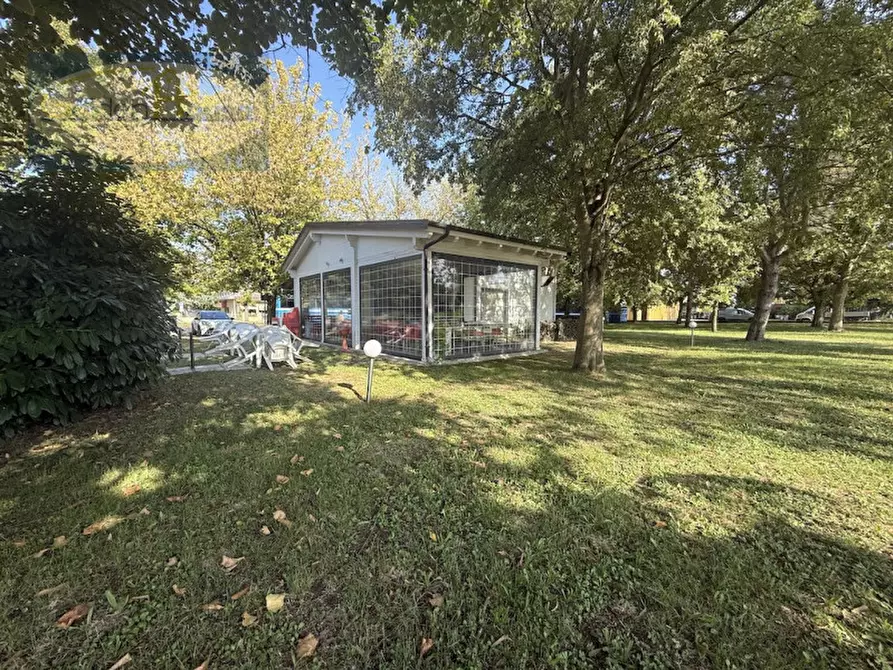 Immagine 5 di Attività commerciale in vendita  a Argenta