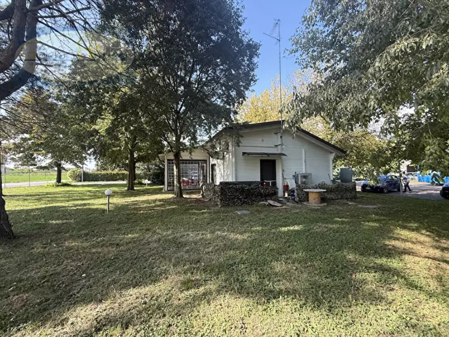 Immagine 7 di Attività commerciale in vendita  a Argenta