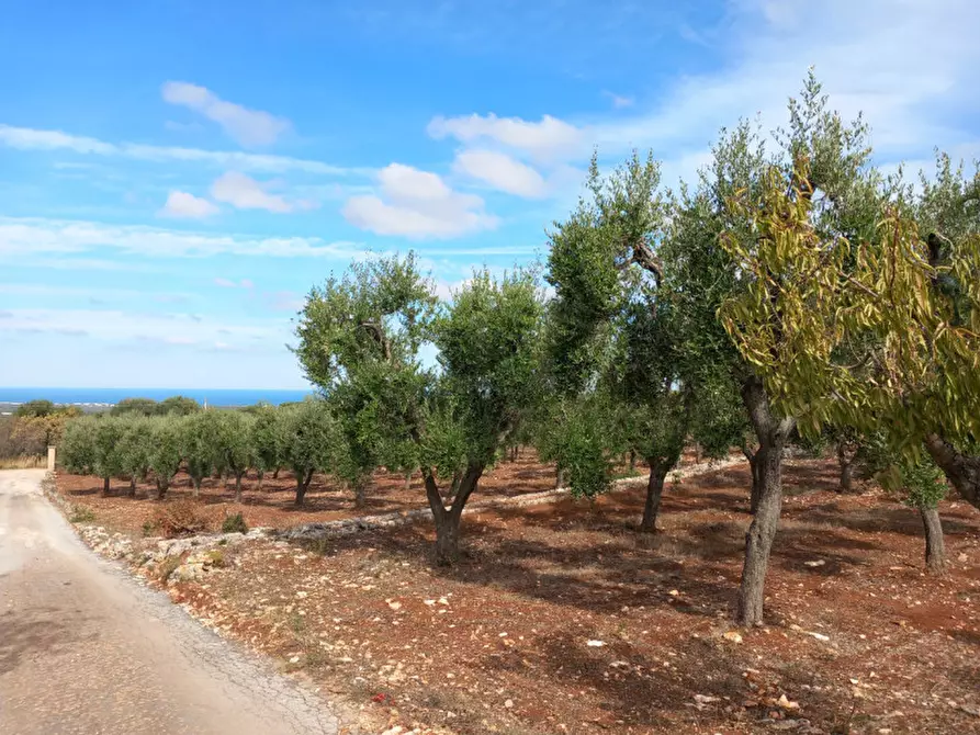 mansarda in vendita ad Ostuni