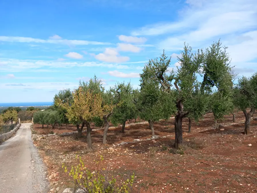 Immagine 2 di Terreno in vendita  in C.da San Giovanni a Ostuni