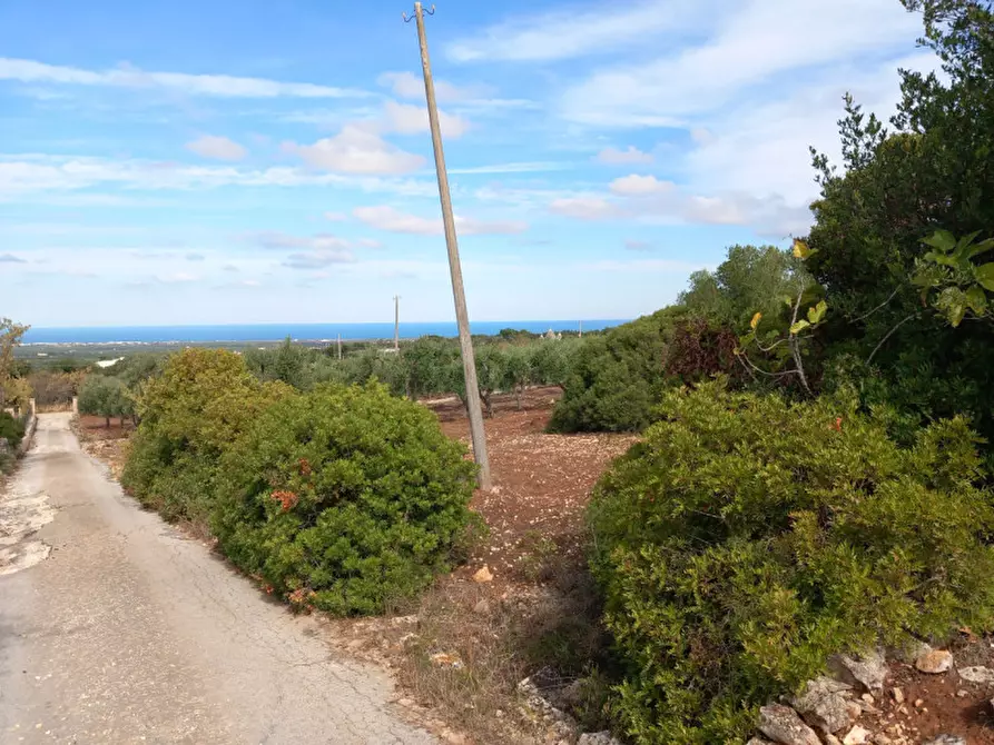 Immagine 3 di Terreno in vendita  in C.da San Giovanni a Ostuni
