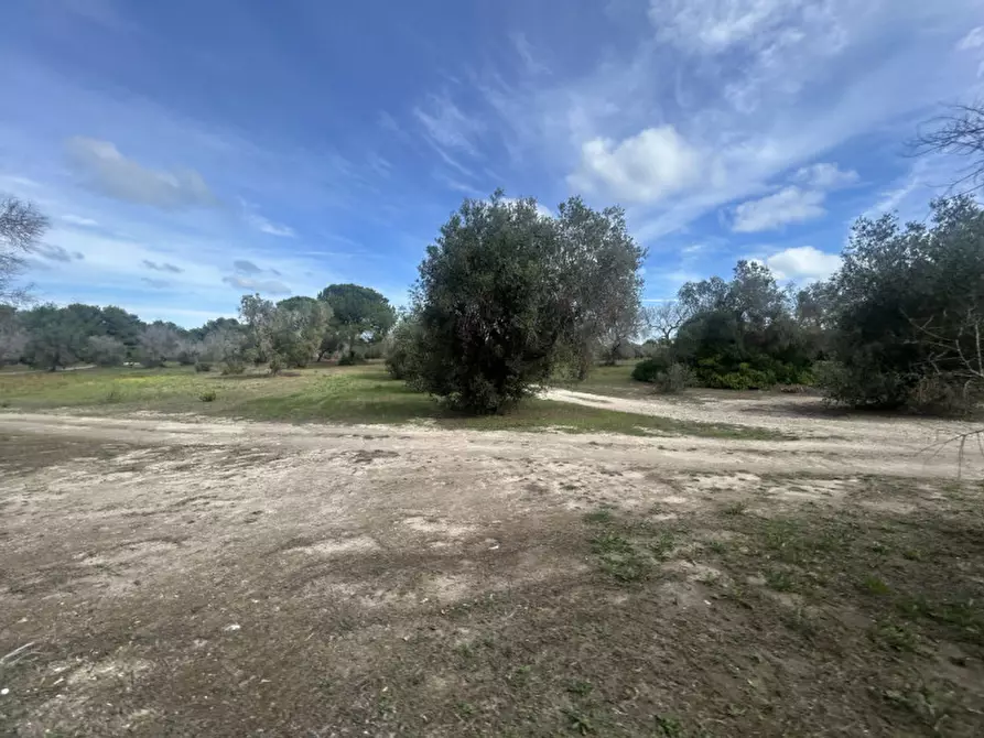 Immagine 2 di Terreno in vendita  in Strada Provinciale Lecce - Aeroporto Turistico - Litoranea a Lecce