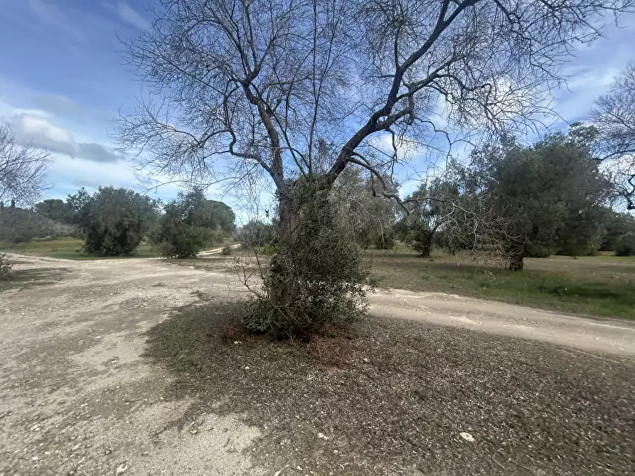 Immagine 4 di Terreno in vendita  in Strada Provinciale Lecce - Aeroporto Turistico - Litoranea a Lecce