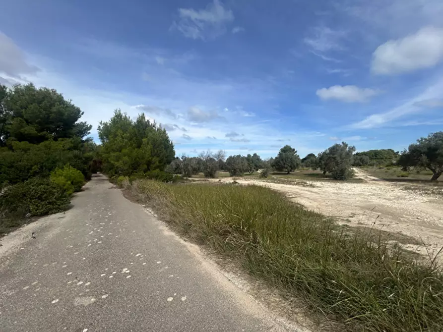 Immagine 5 di Terreno in vendita  in Strada Provinciale Lecce - Aeroporto Turistico - Litoranea a Lecce