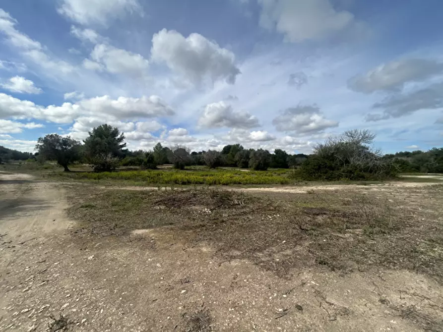 Immagine 6 di Terreno in vendita  in Strada Provinciale Lecce - Aeroporto Turistico - Litoranea a Lecce