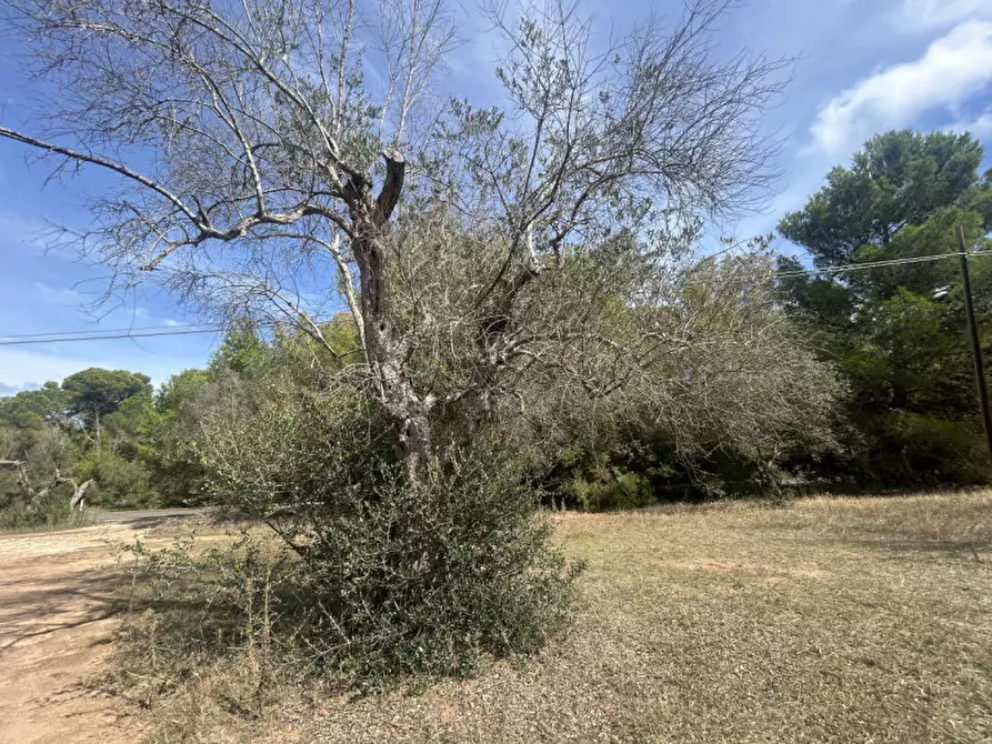 Immagine 8 di Terreno in vendita  in Strada Provinciale Lecce - Aeroporto Turistico - Litoranea a Lecce