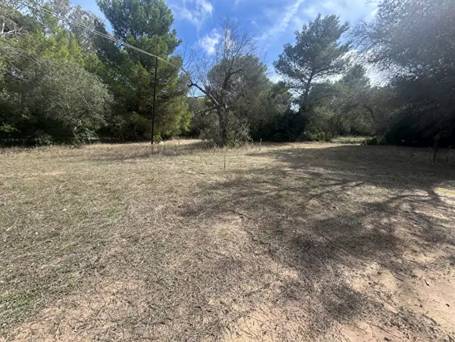 Immagine 9 di Terreno in vendita  in Strada Provinciale Lecce - Aeroporto Turistico - Litoranea a Lecce